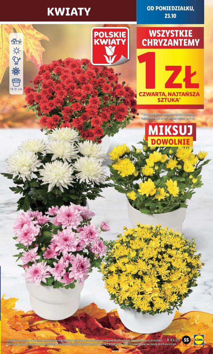 Gazetka promocyjna Lidl do 25/10/2023 str.60