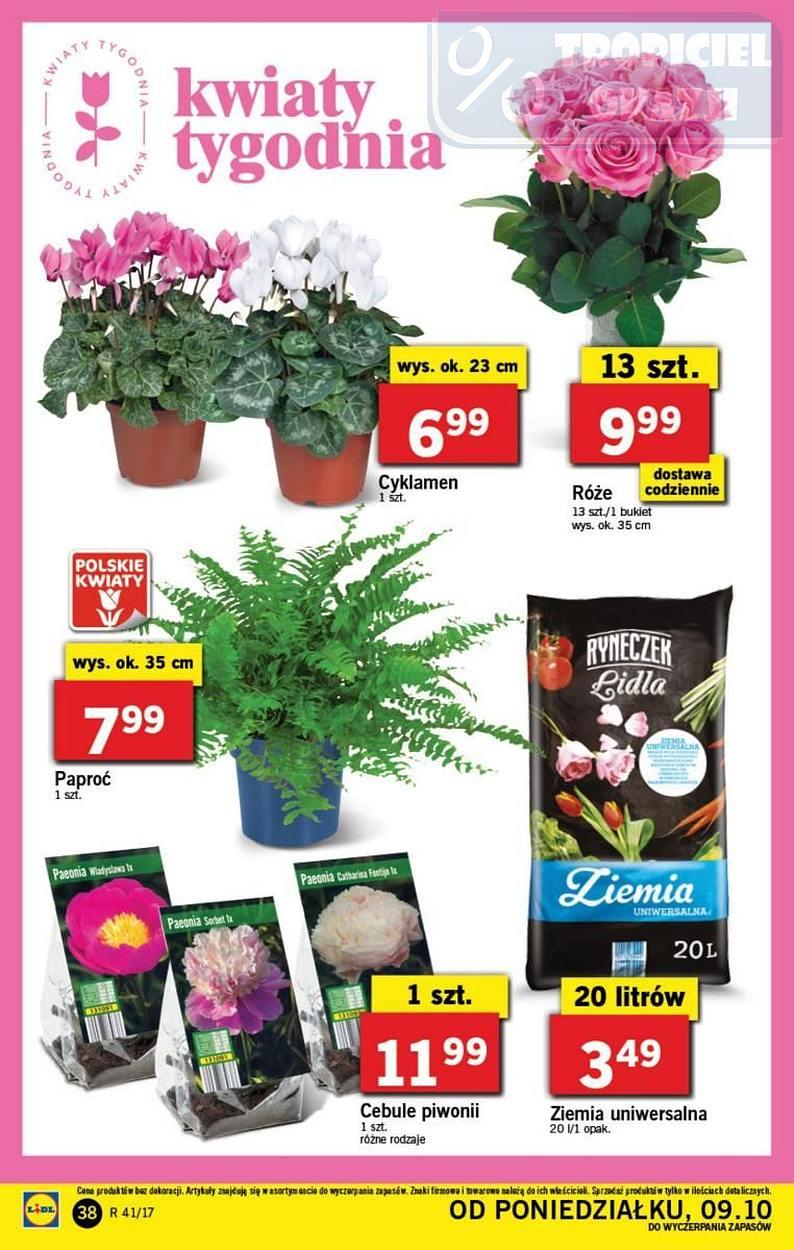 Gazetka promocyjna Lidl do 11/10/2017 str.38