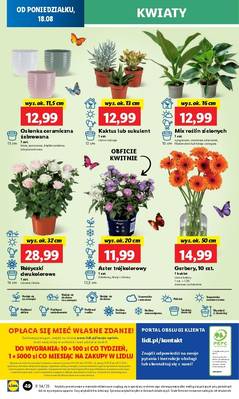 Lidl od poniedziałku