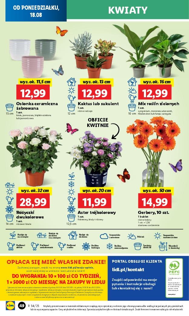 Gazetka promocyjna Lidl do 20/08/2025 str.64