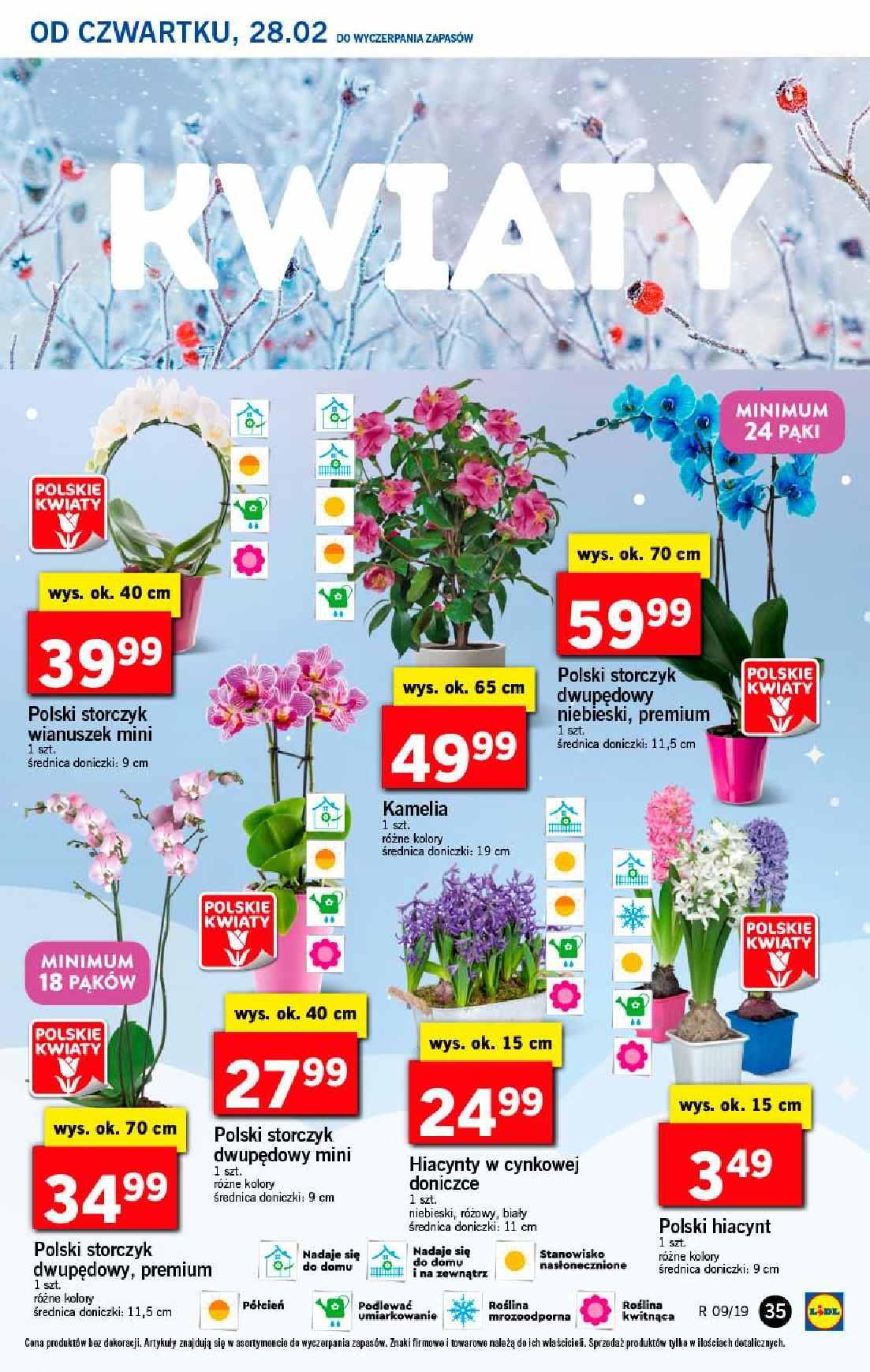 Gazetka promocyjna Lidl do 03/03/2019 str.35