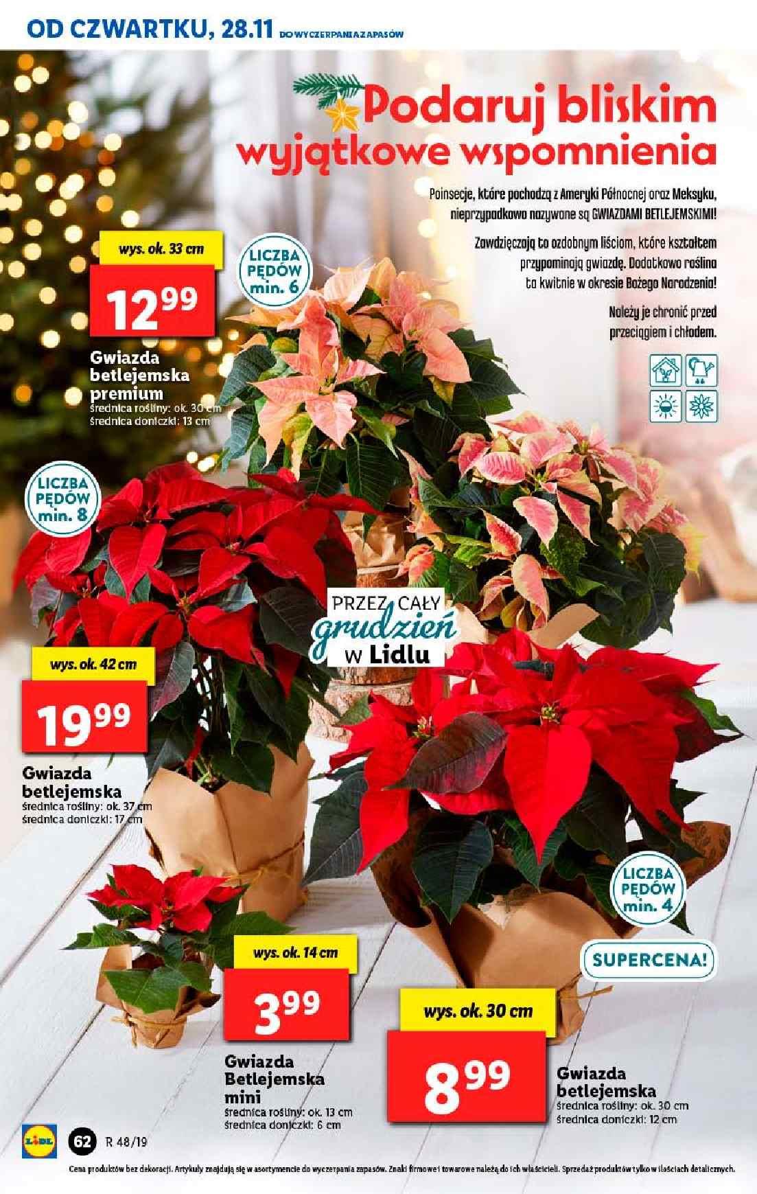 Gazetka promocyjna Lidl do 30/11/2019 str.62