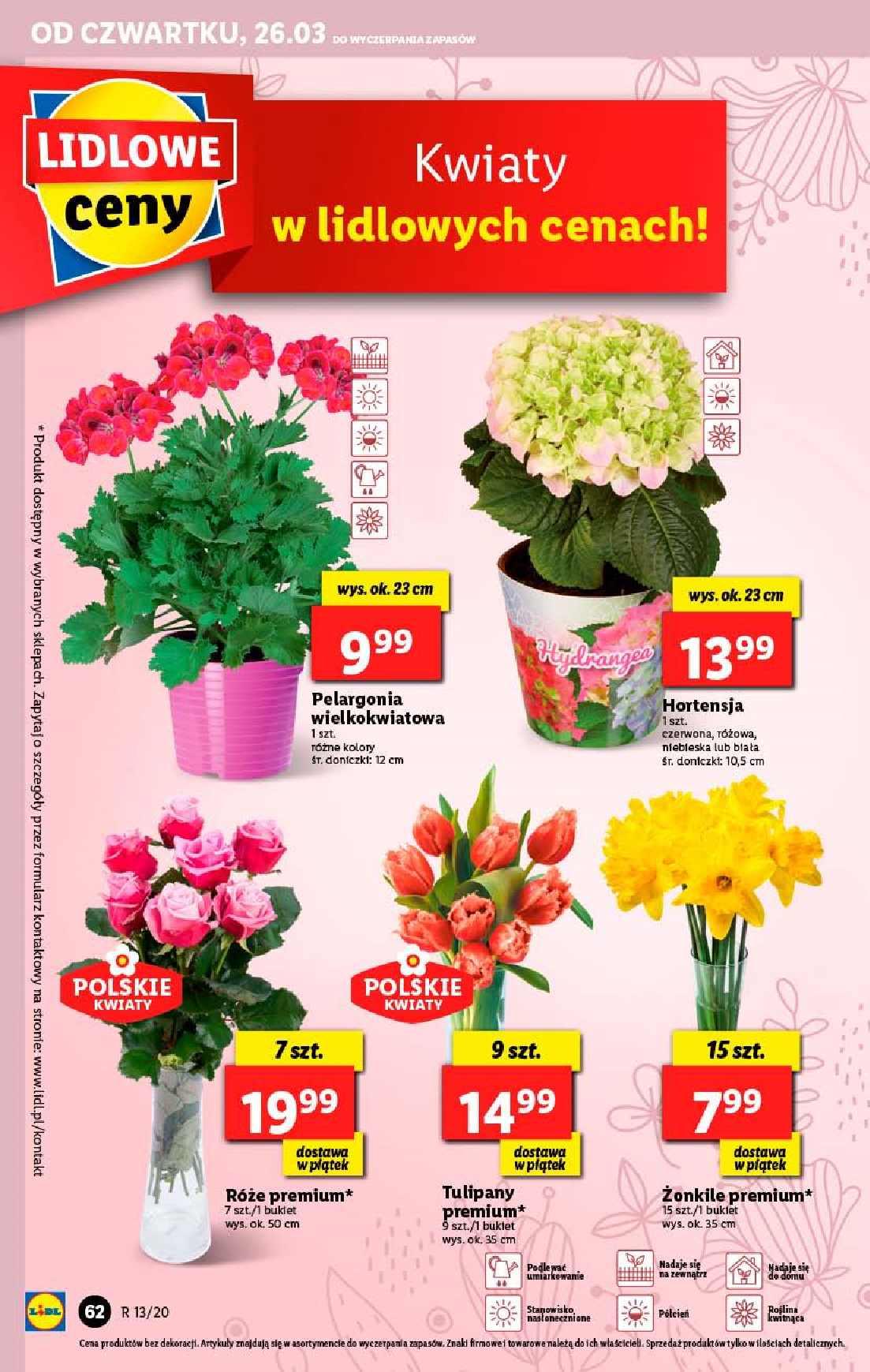 Gazetka promocyjna Lidl do 28/03/2020 str.62