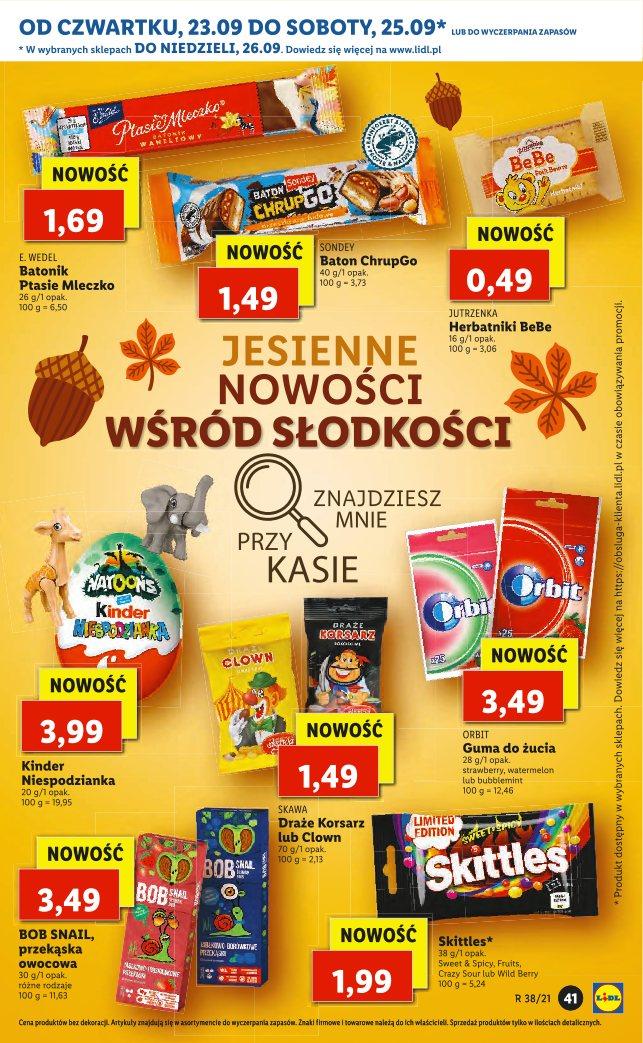 Gazetka promocyjna Lidl do 25/09/2021 str.41