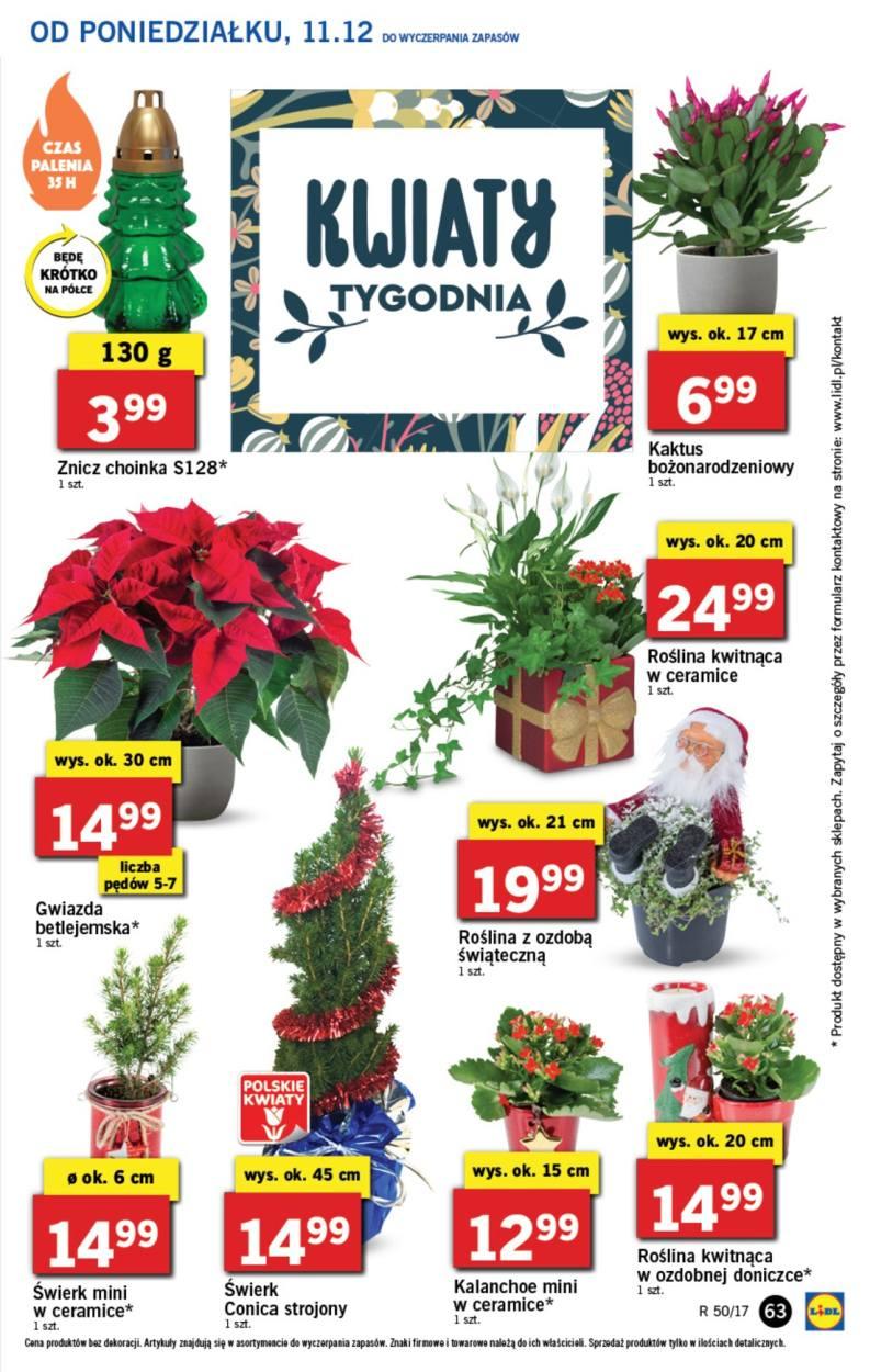 Gazetka promocyjna Lidl do 13/12/2017 str.63