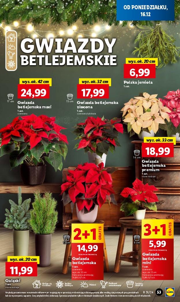 Gazetka promocyjna Lidl do 18/12/2024 str.63