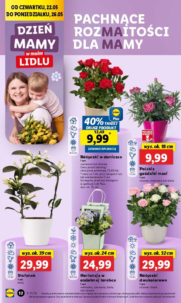 Gazetka promocyjna Lidl do 24/05/2025 str.14