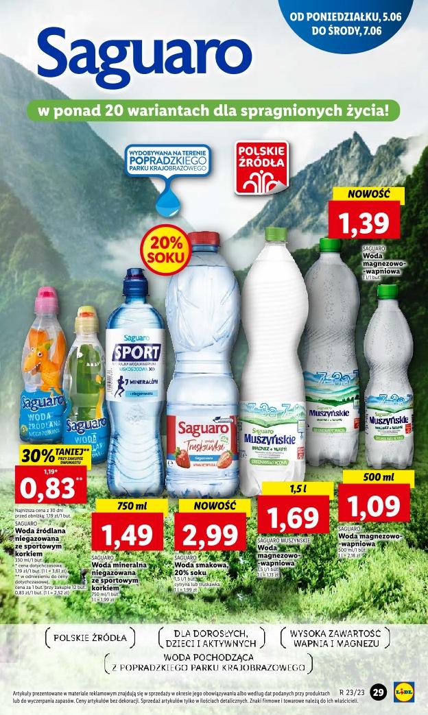 Gazetka promocyjna Lidl do 10/06/2023 str.33