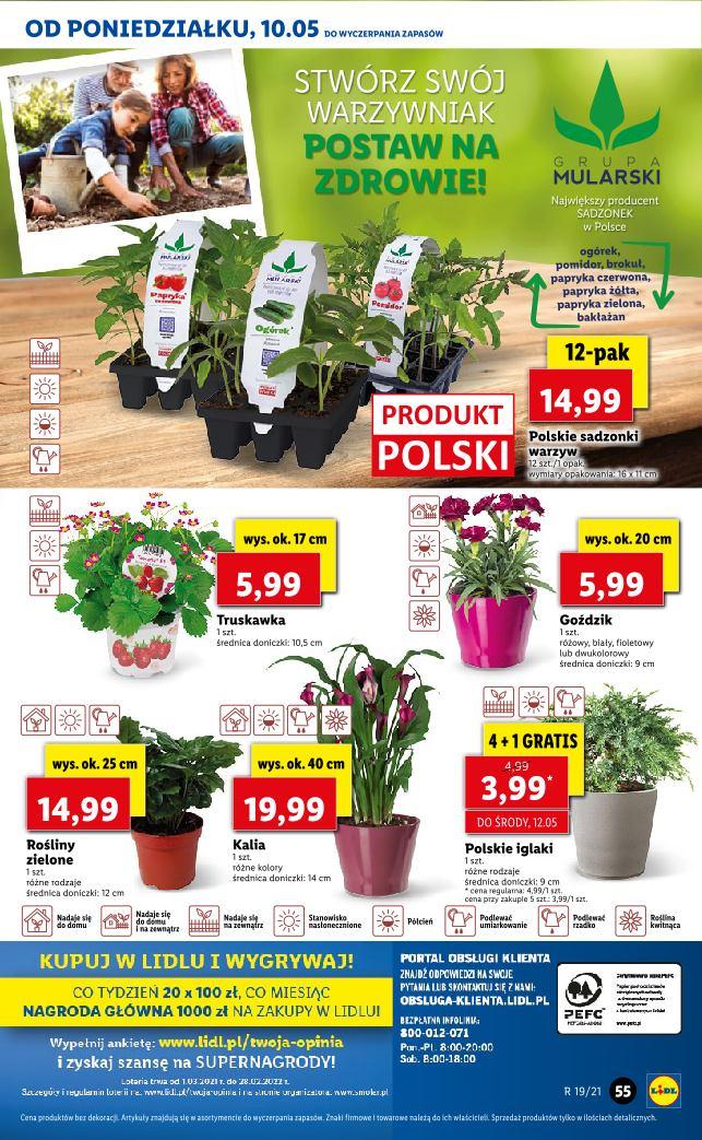 Gazetka promocyjna Lidl do 12/05/2021 str.55