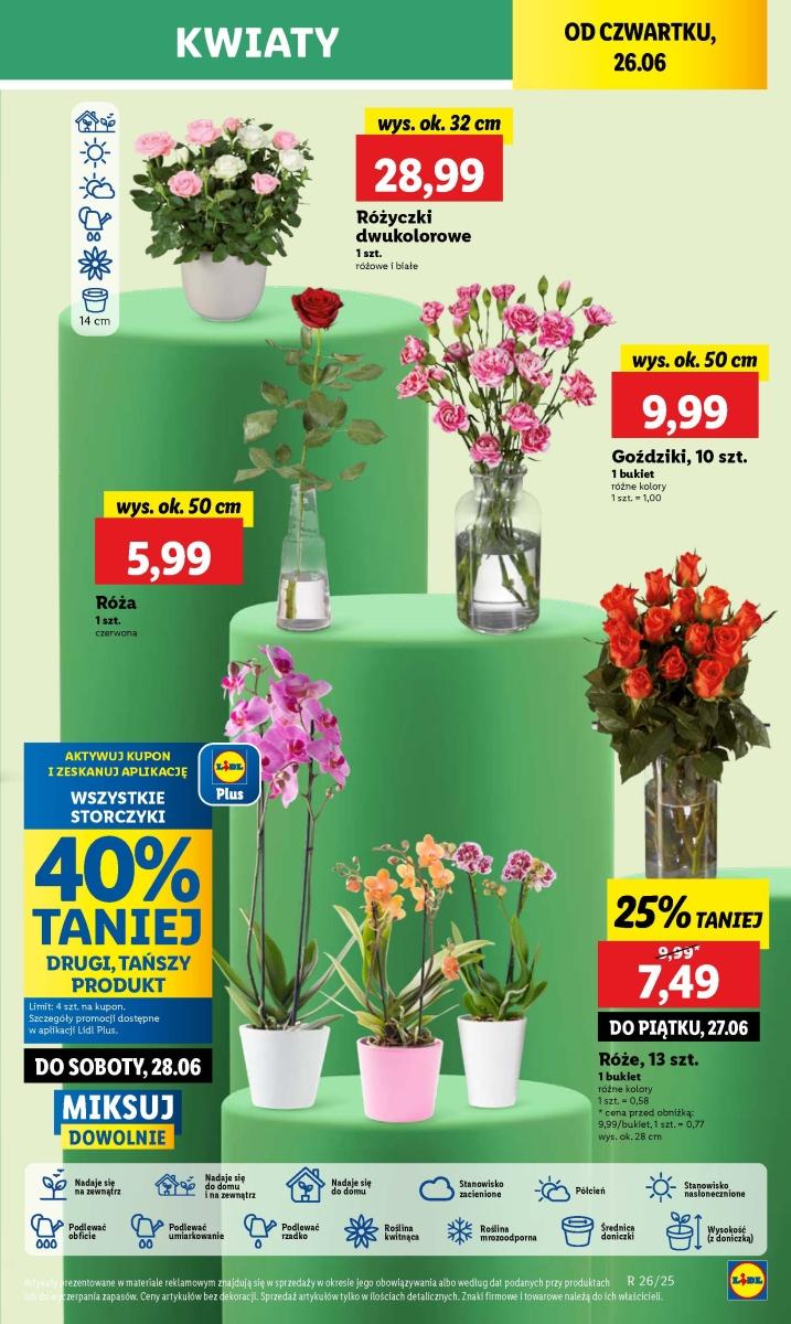 Gazetka promocyjna Lidl do 29/06/2025 str.58