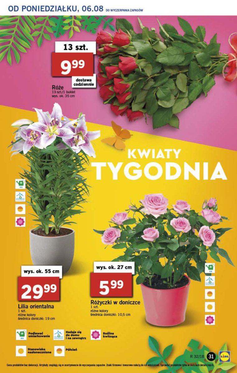 Gazetka promocyjna Lidl do 08/08/2018 str.31