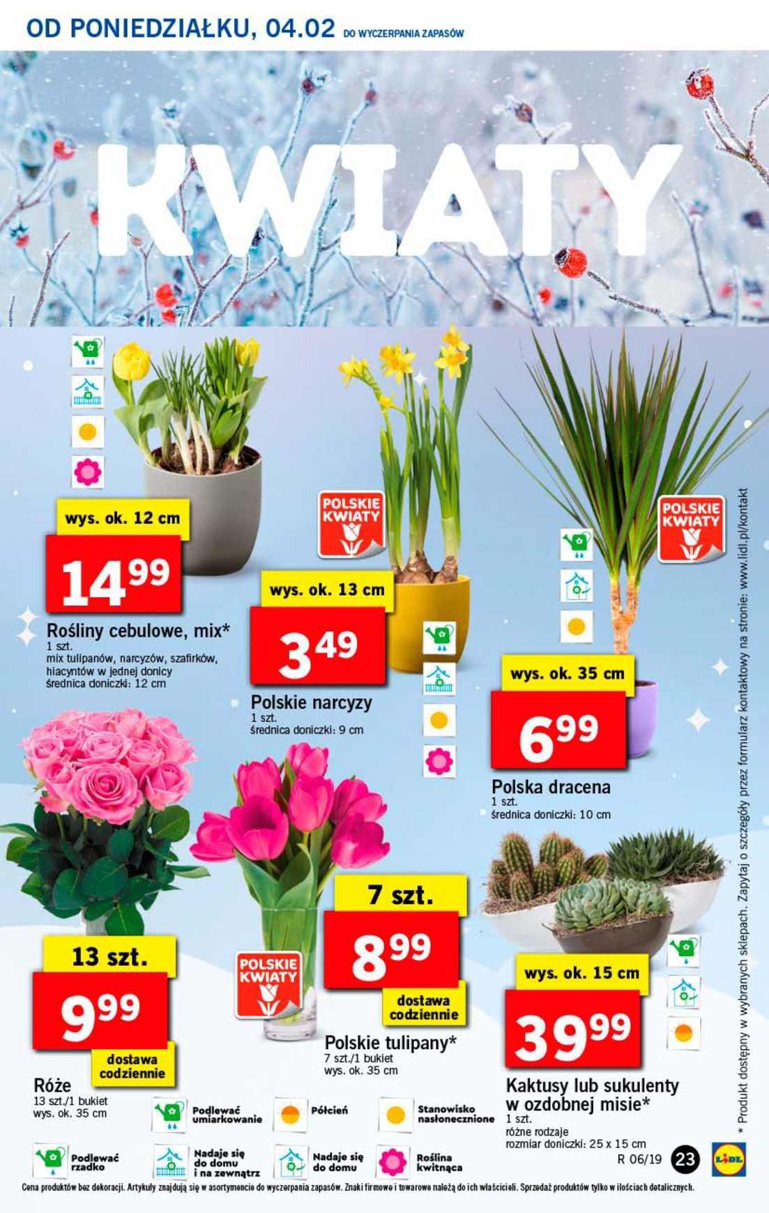 Gazetka promocyjna Lidl do 06/02/2019 str.23