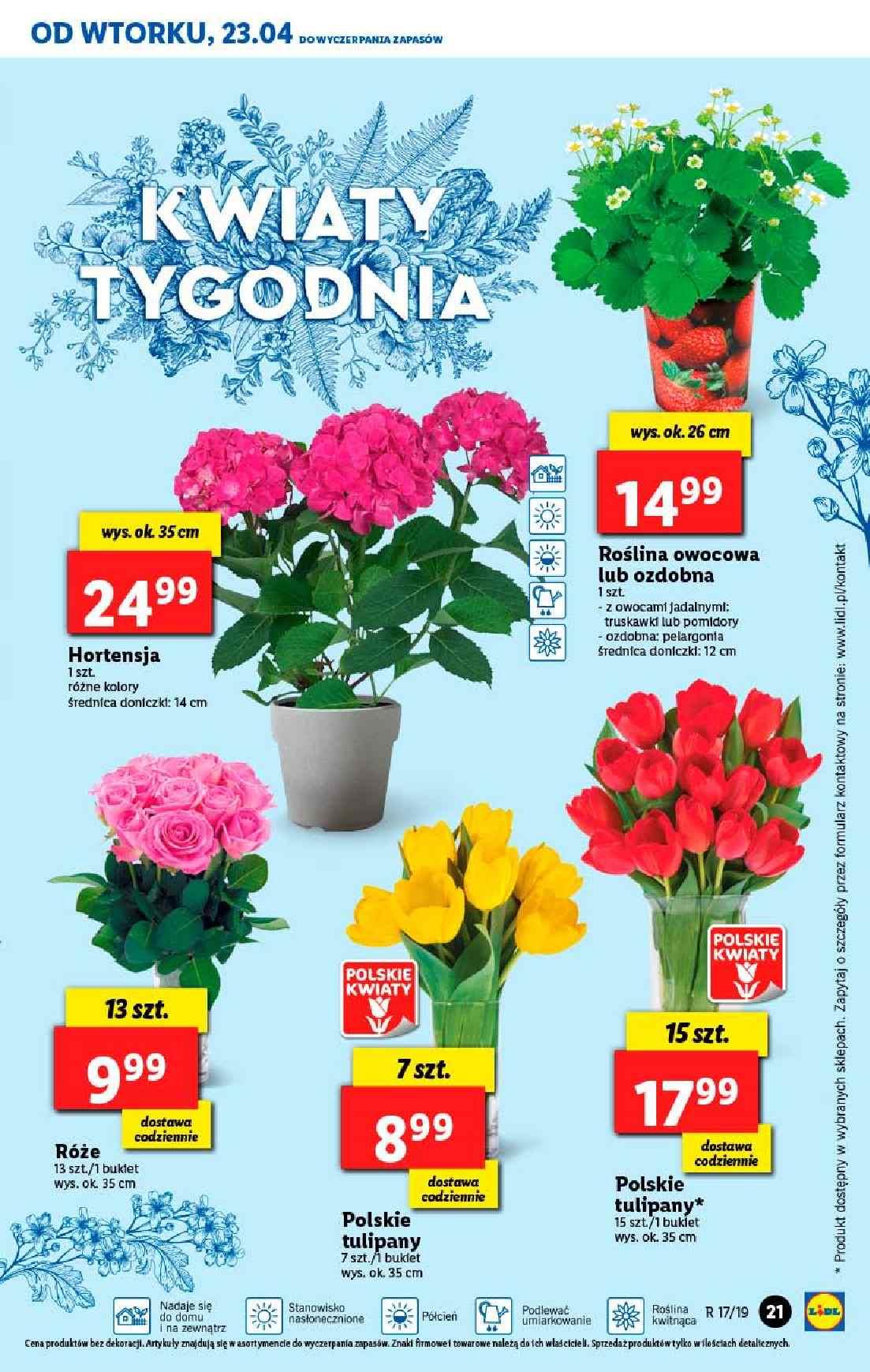 Gazetka promocyjna Lidl do 24/04/2019 str.21