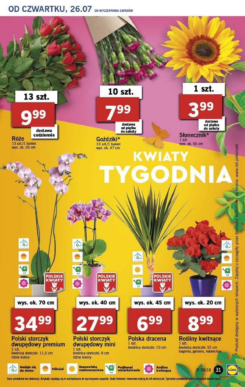 Gazetka promocyjna Lidl do 29/07/2018 str.31