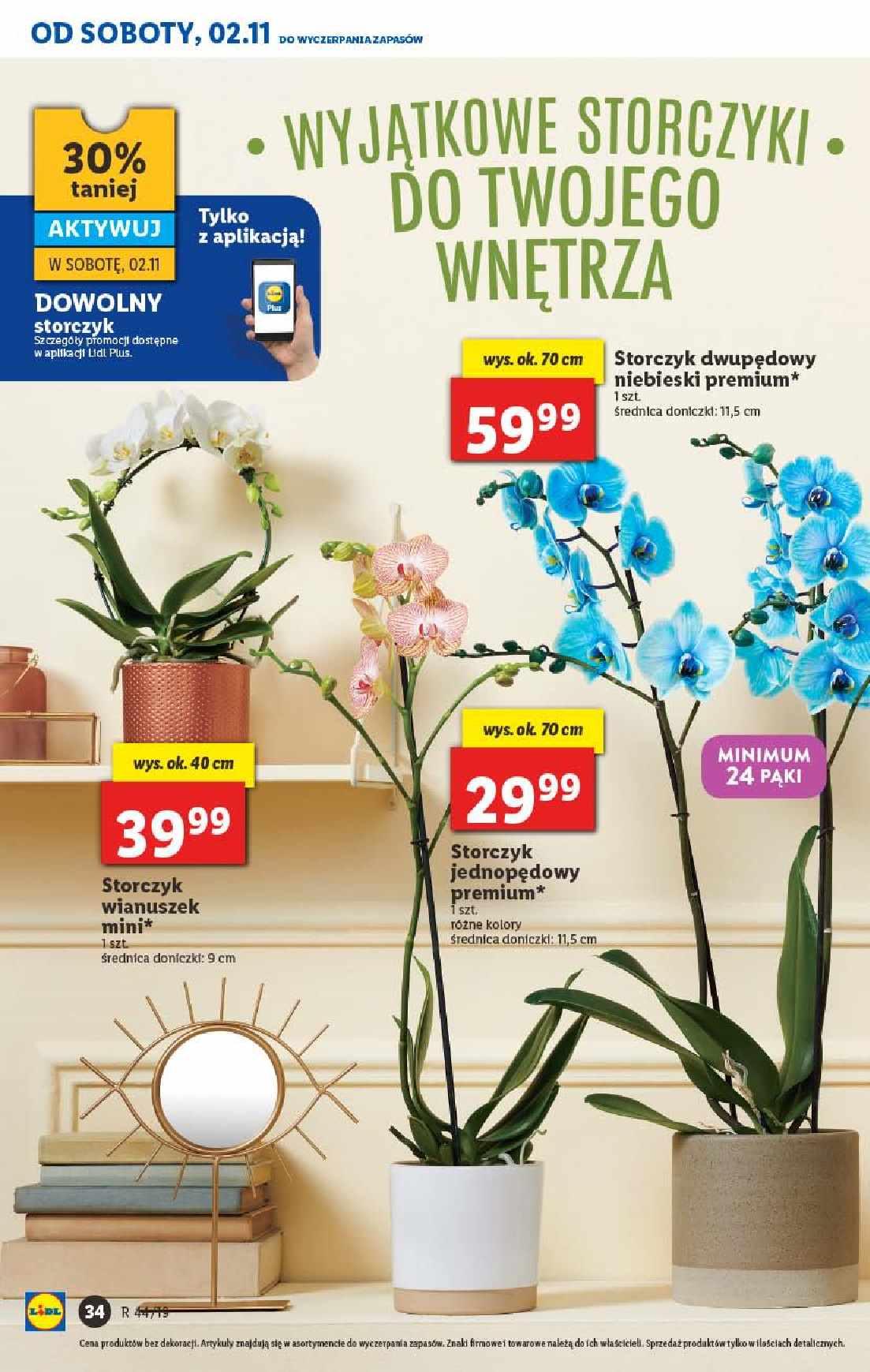 Gazetka promocyjna Lidl do 02/11/2019 str.34