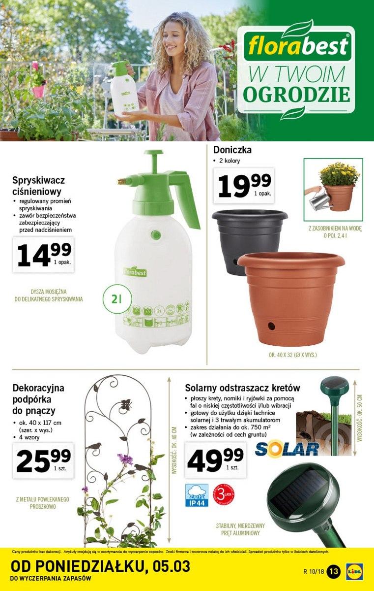 Gazetka promocyjna Lidl do 10/03/2018 str.13