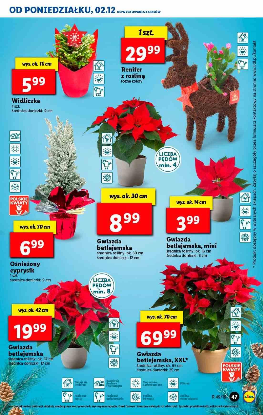 Gazetka promocyjna Lidl do 04/12/2019 str.47