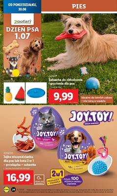 Katalog Lidl