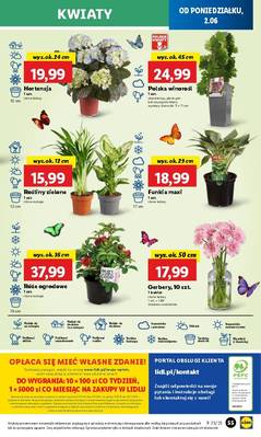 Lidl od poniedziałku
