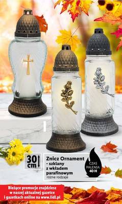 Lidl znicze