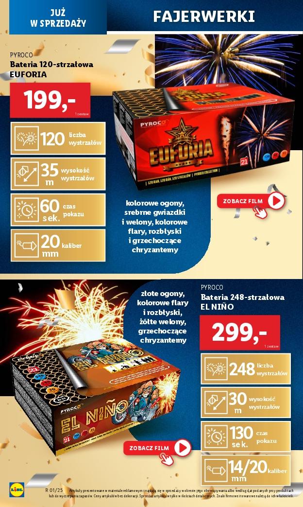 Gazetka promocyjna Lidl do 31/12/2024 str.17