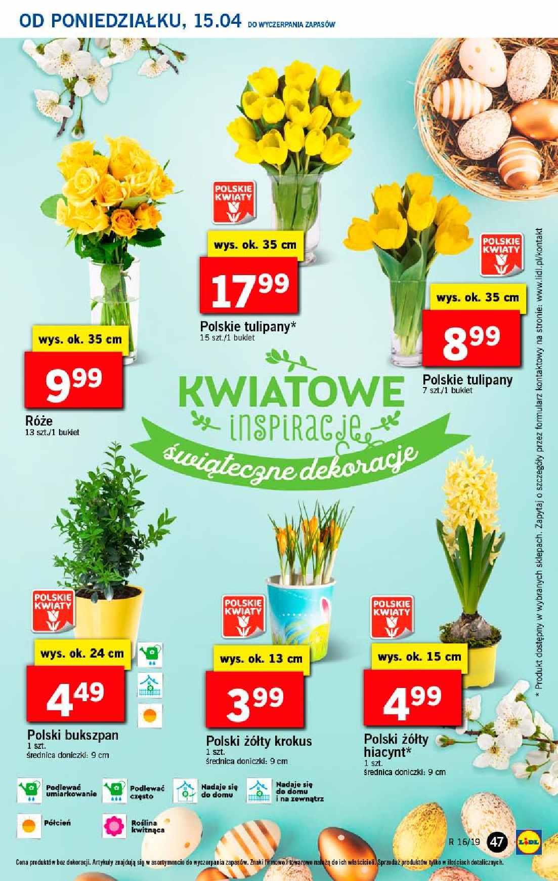 Gazetka promocyjna Lidl do 17/04/2019 str.47