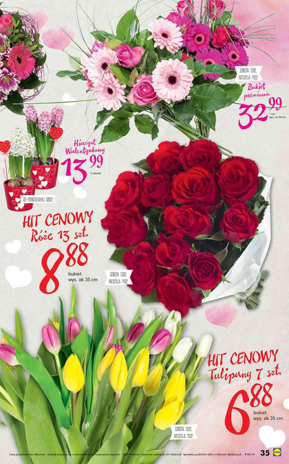 Gazetka promocyjna Lidl do 14/02/2016 str.35