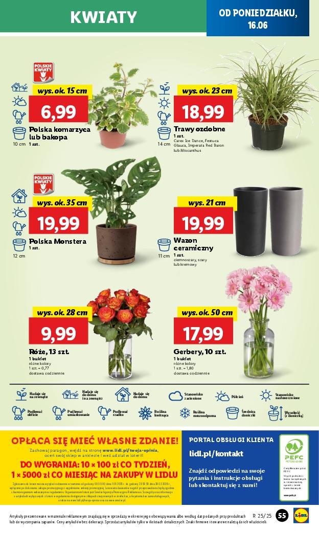 Gazetka promocyjna Lidl do 18/06/2025 str.65