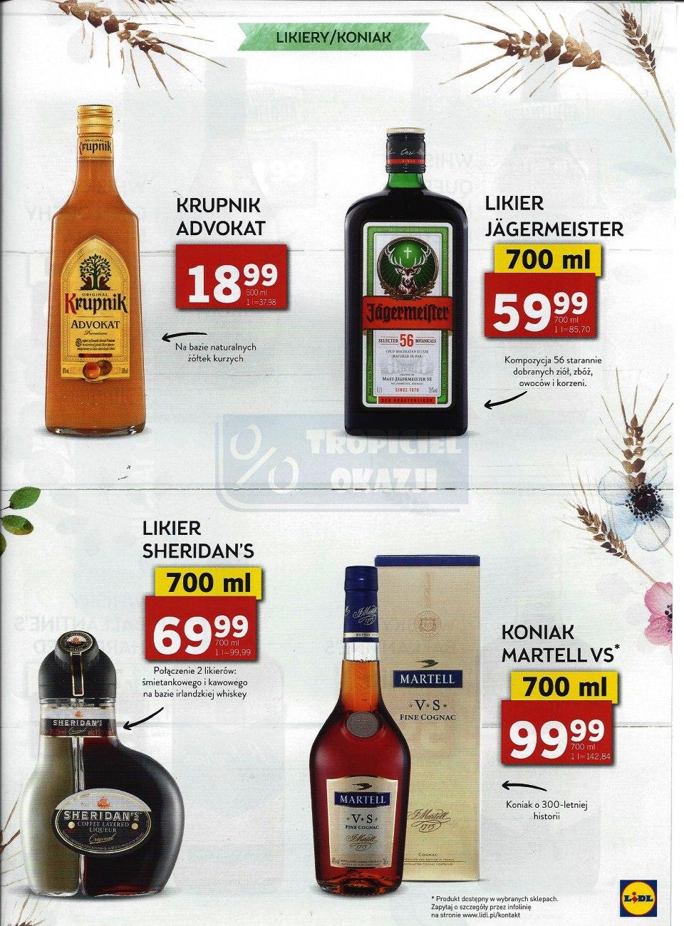 Gazetka promocyjna Lidl do 16/04/2017 str.15