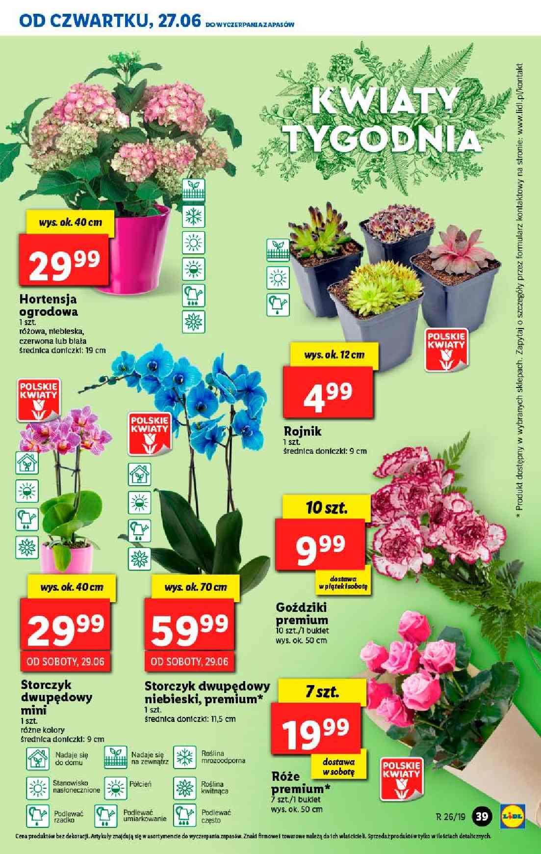 Gazetka promocyjna Lidl do 30/06/2019 str.39