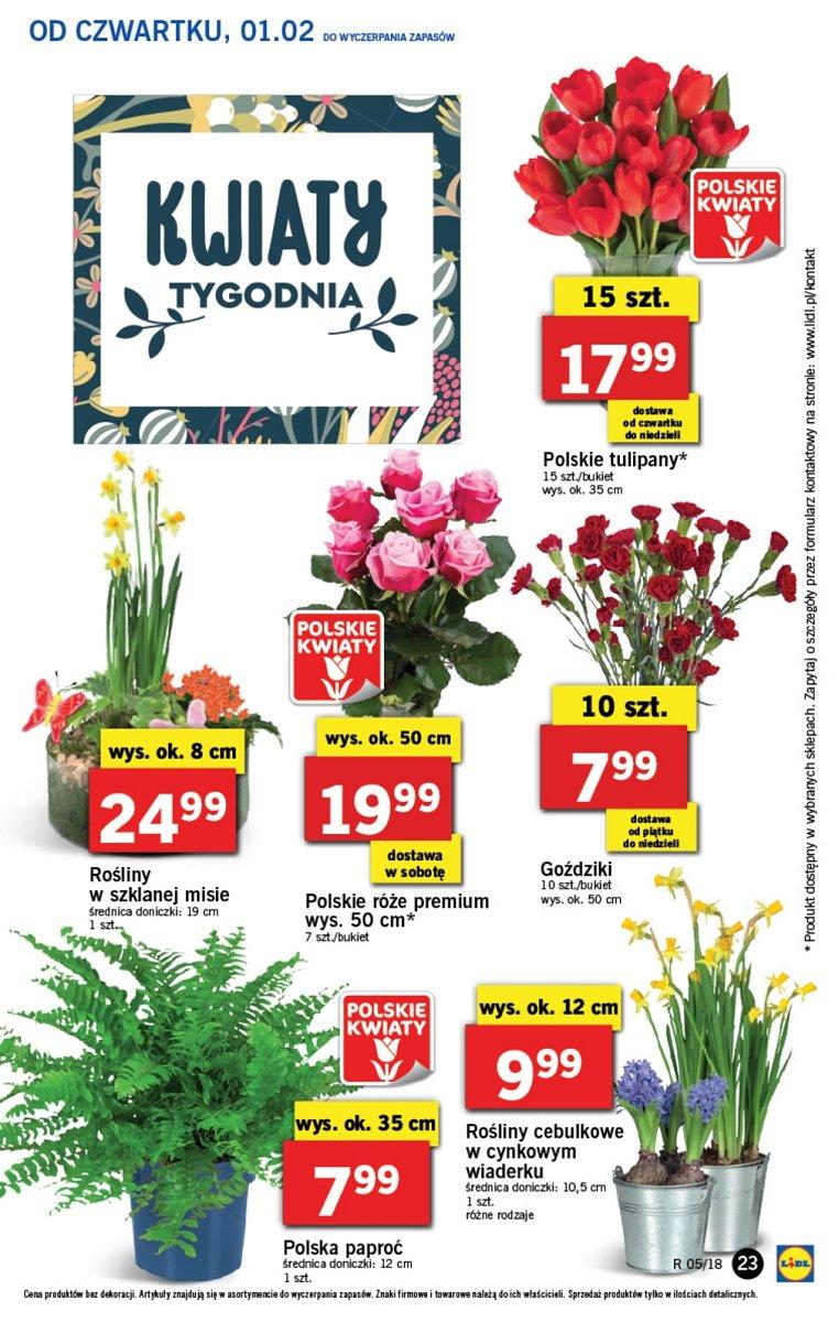 Gazetka promocyjna Lidl do 04/02/2018 str.23