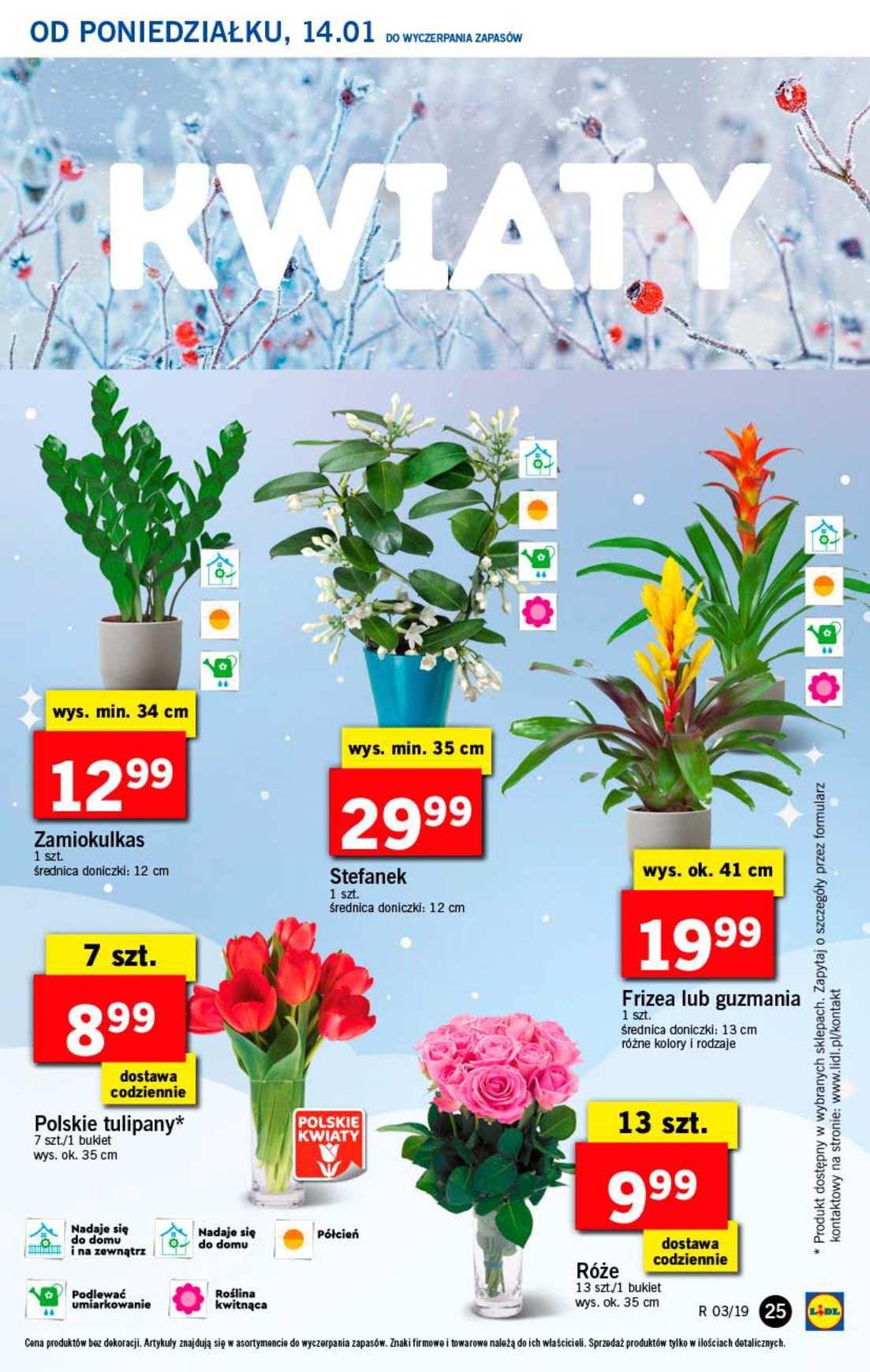 Gazetka promocyjna Lidl do 16/01/2019 str.25