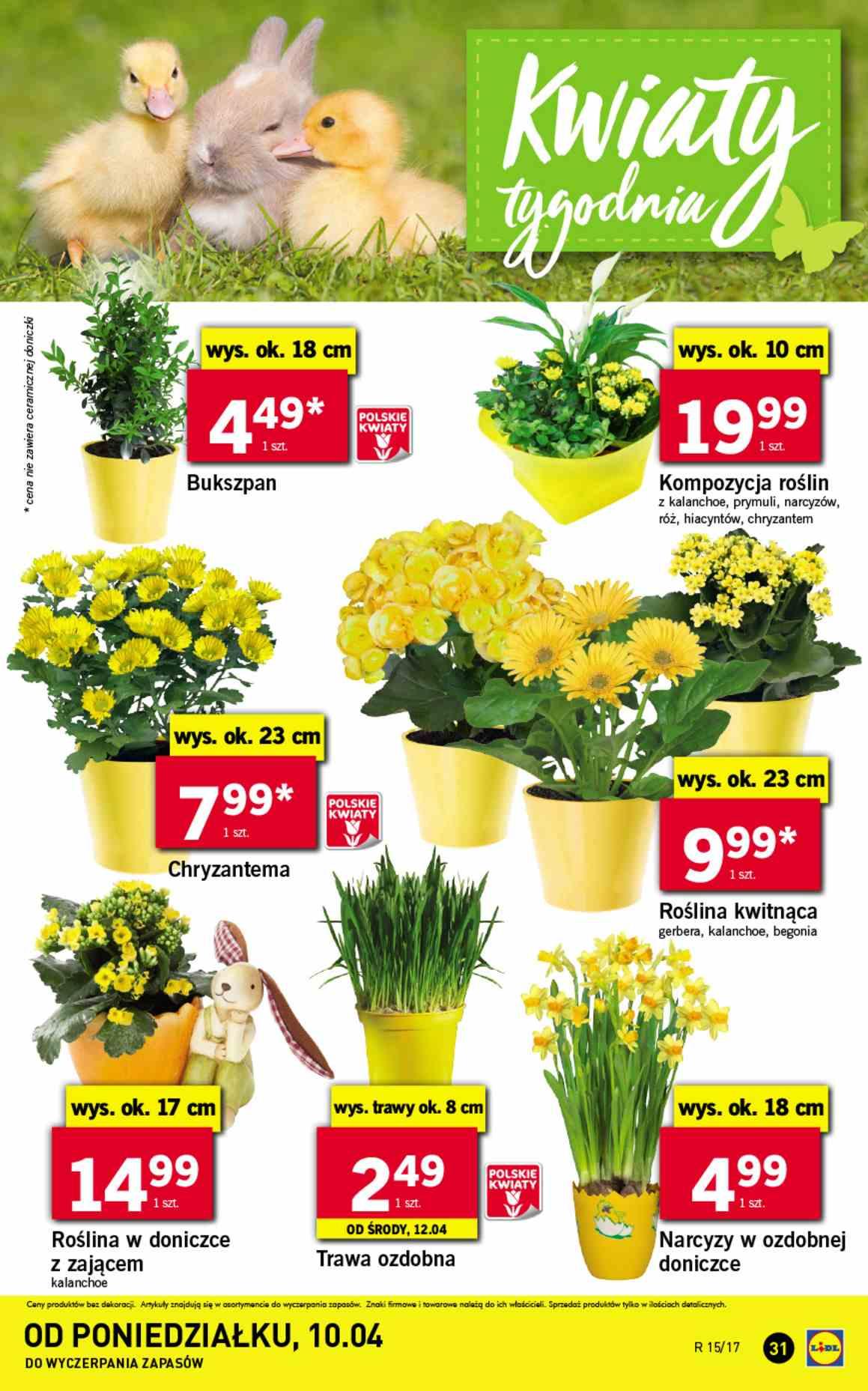 Gazetka promocyjna Lidl do 15/04/2017 str.31