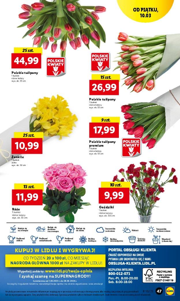 Gazetka promocyjna Lidl do 11/03/2023 str.55