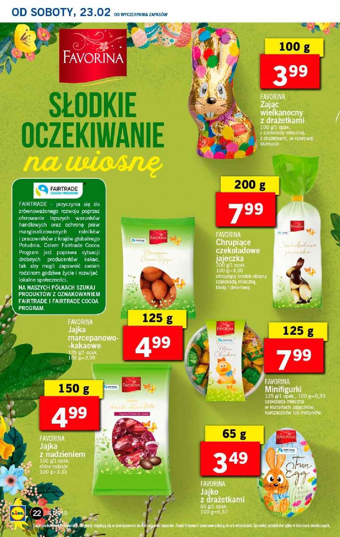 Gazetka promocyjna Lidl do 27/02/2019 str.22