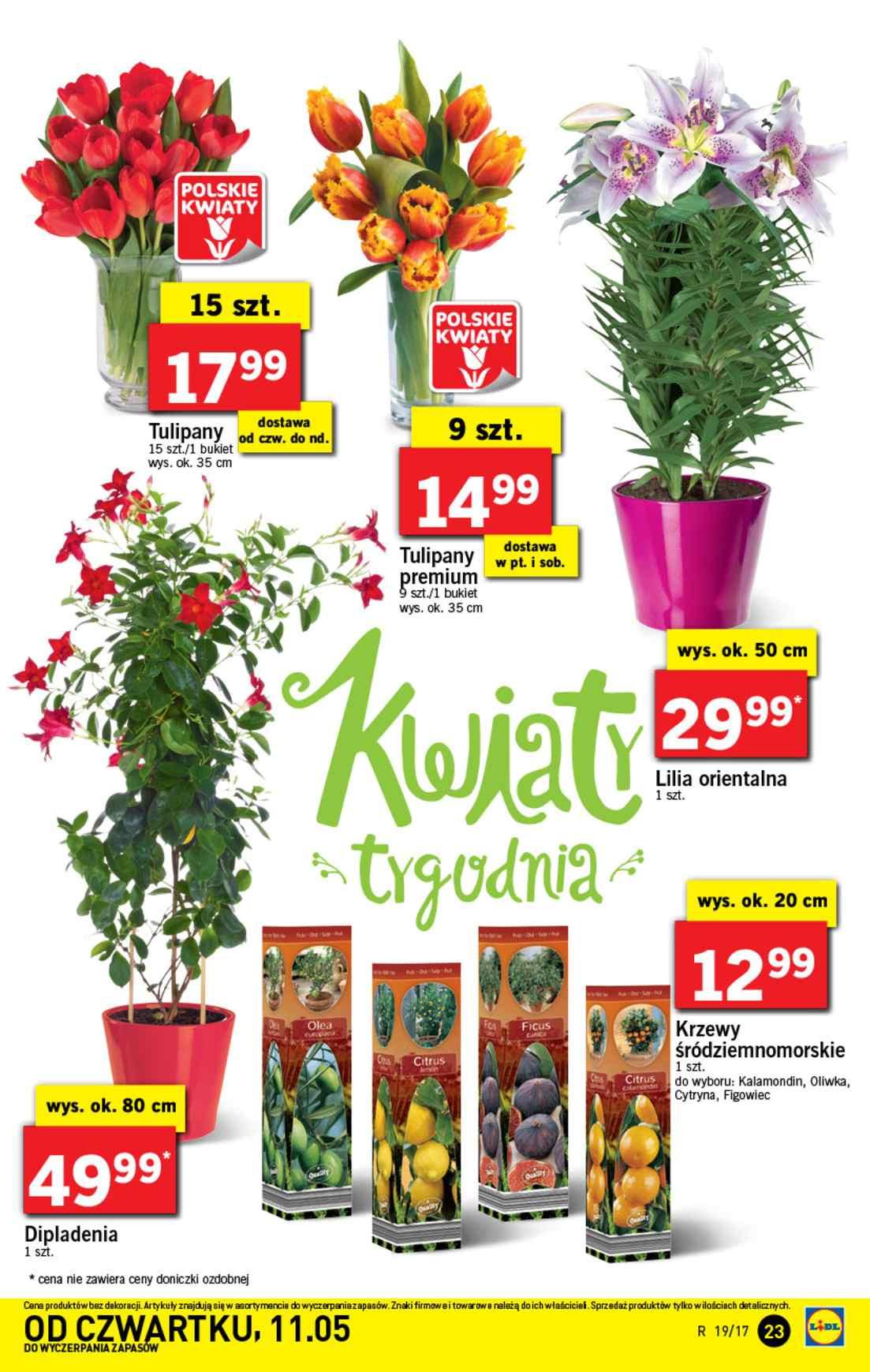 Gazetka promocyjna Lidl do 14/05/2017 str.23