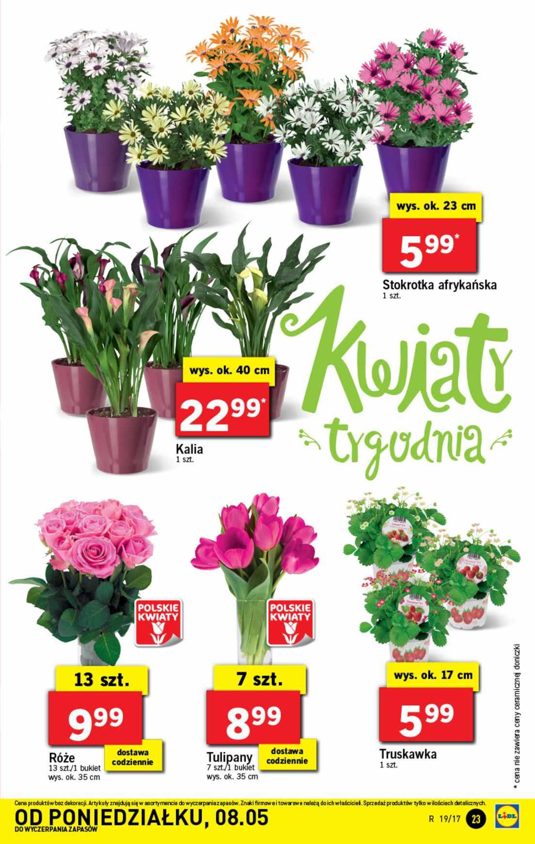 Gazetka promocyjna Lidl do 10/05/2017 str.23