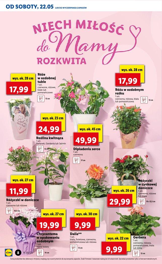 Gazetka promocyjna Lidl do 22/05/2021 str.8