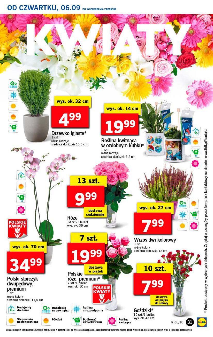 Gazetka promocyjna Lidl do 08/09/2018 str.31