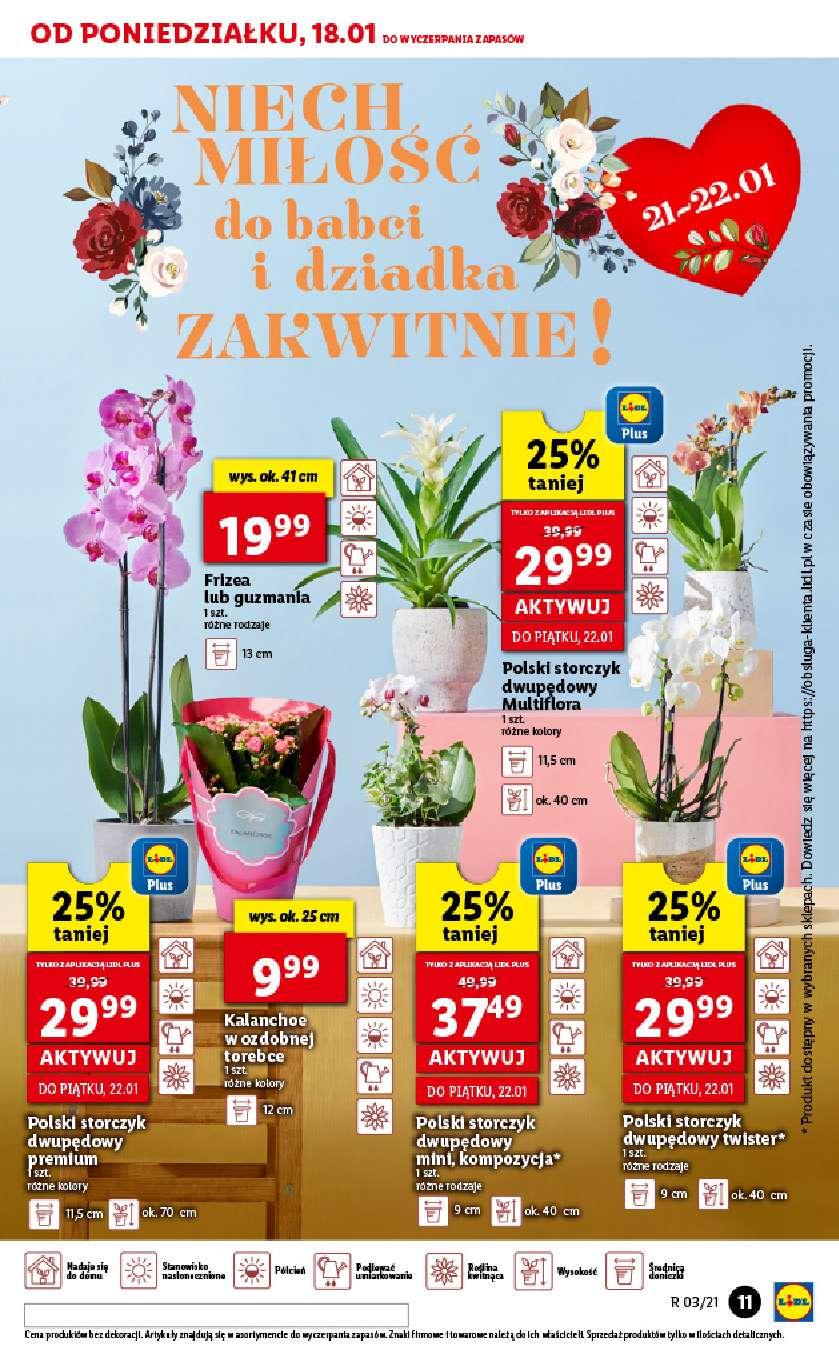 Gazetka promocyjna Lidl do 20/01/2021 str.11