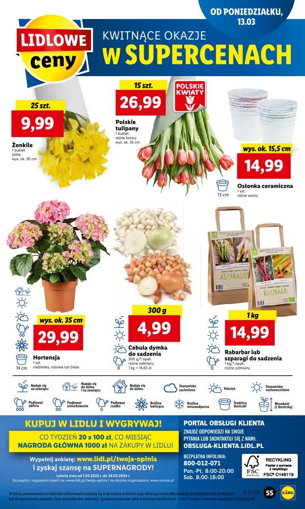 Gazetka promocyjna Lidl do 15/03/2023 str.61