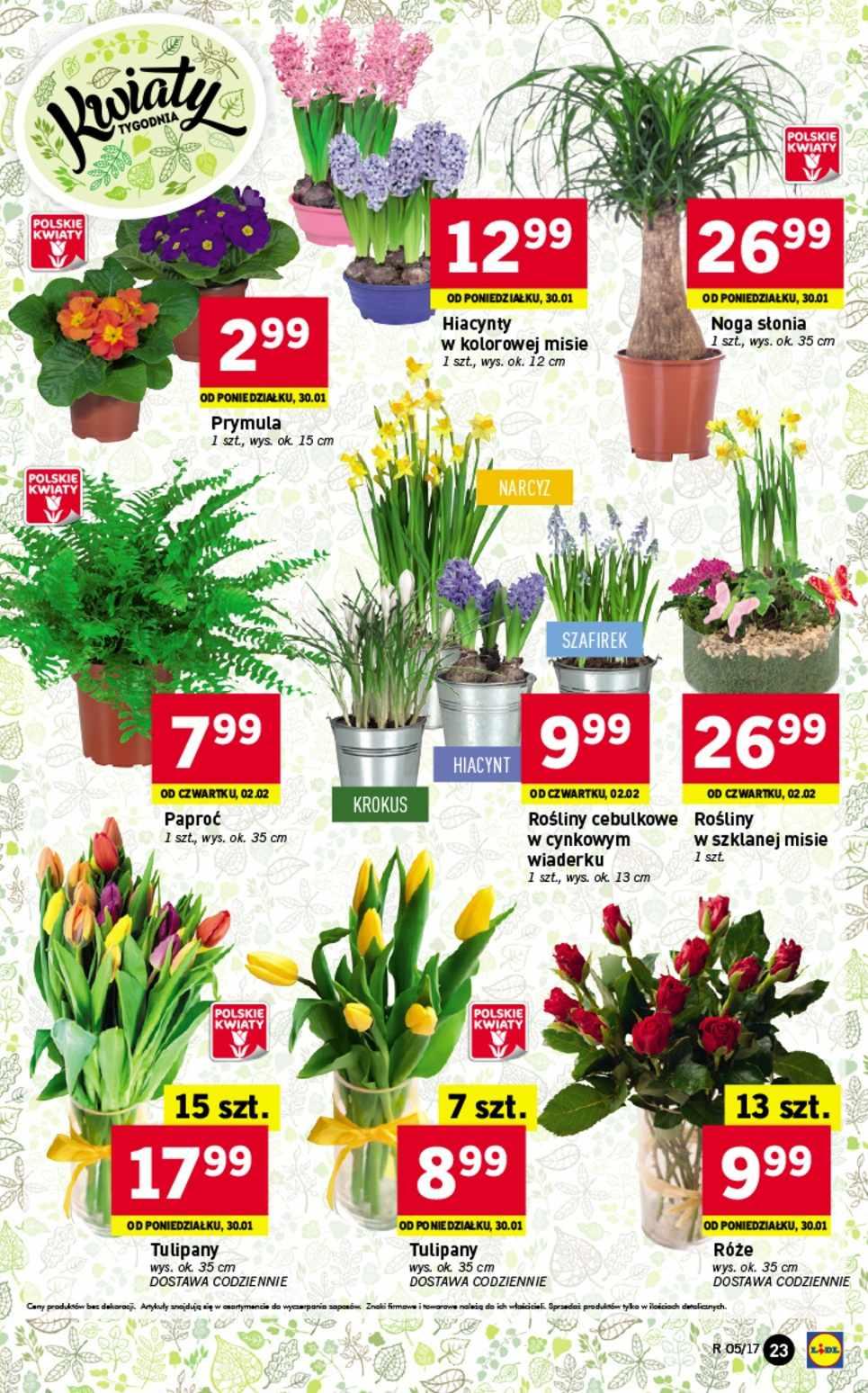 Gazetka promocyjna Lidl do 01/02/2017 str.23