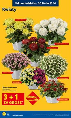 Lidl od poniedziałku