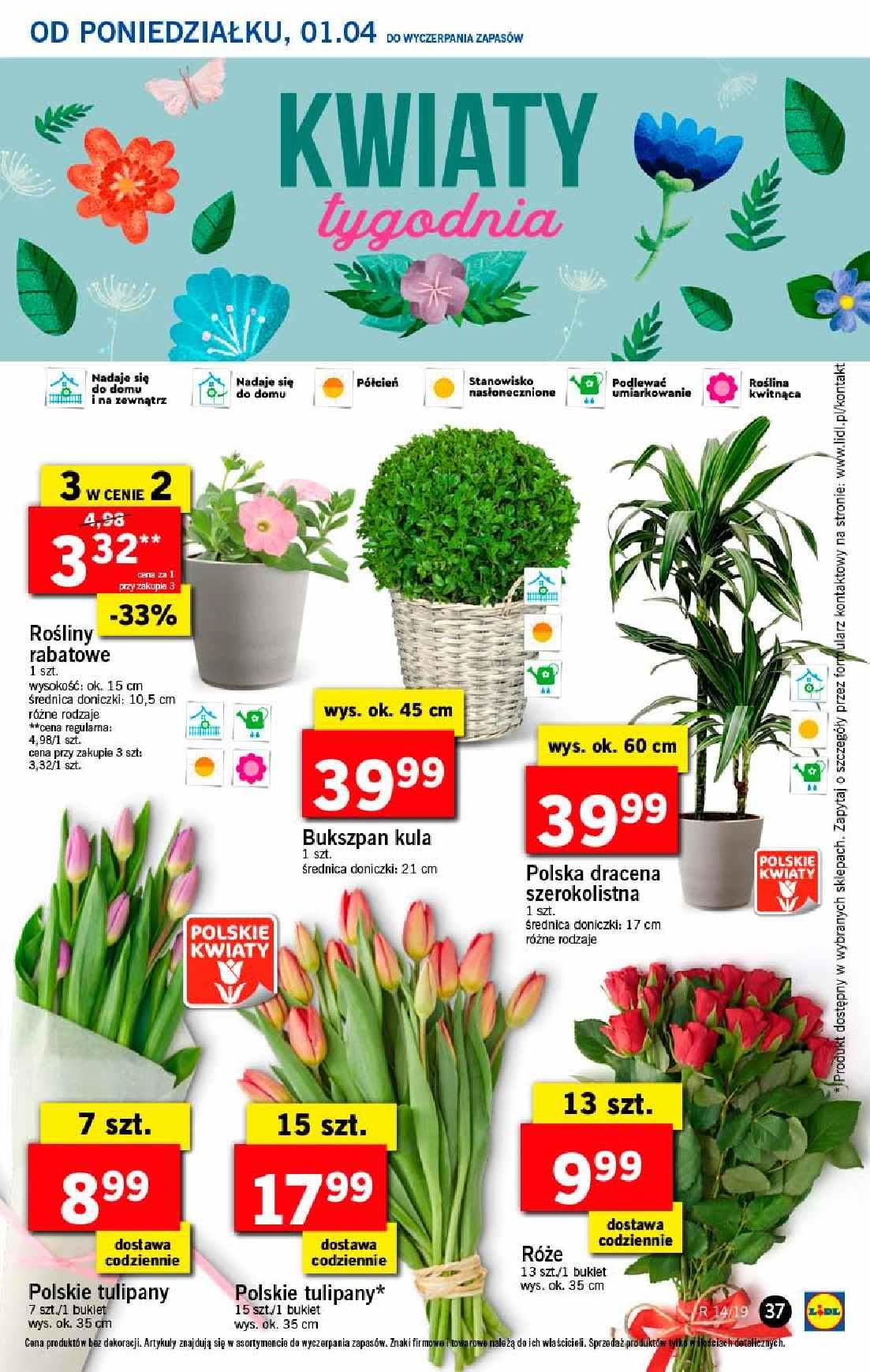 Gazetka promocyjna Lidl do 03/04/2019 str.37