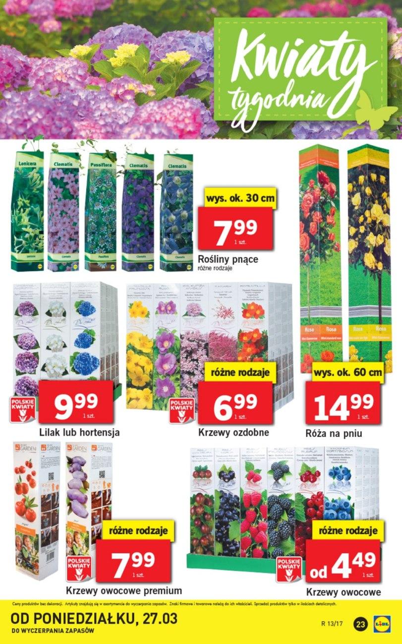 Gazetka promocyjna Lidl do 29/03/2017 str.23