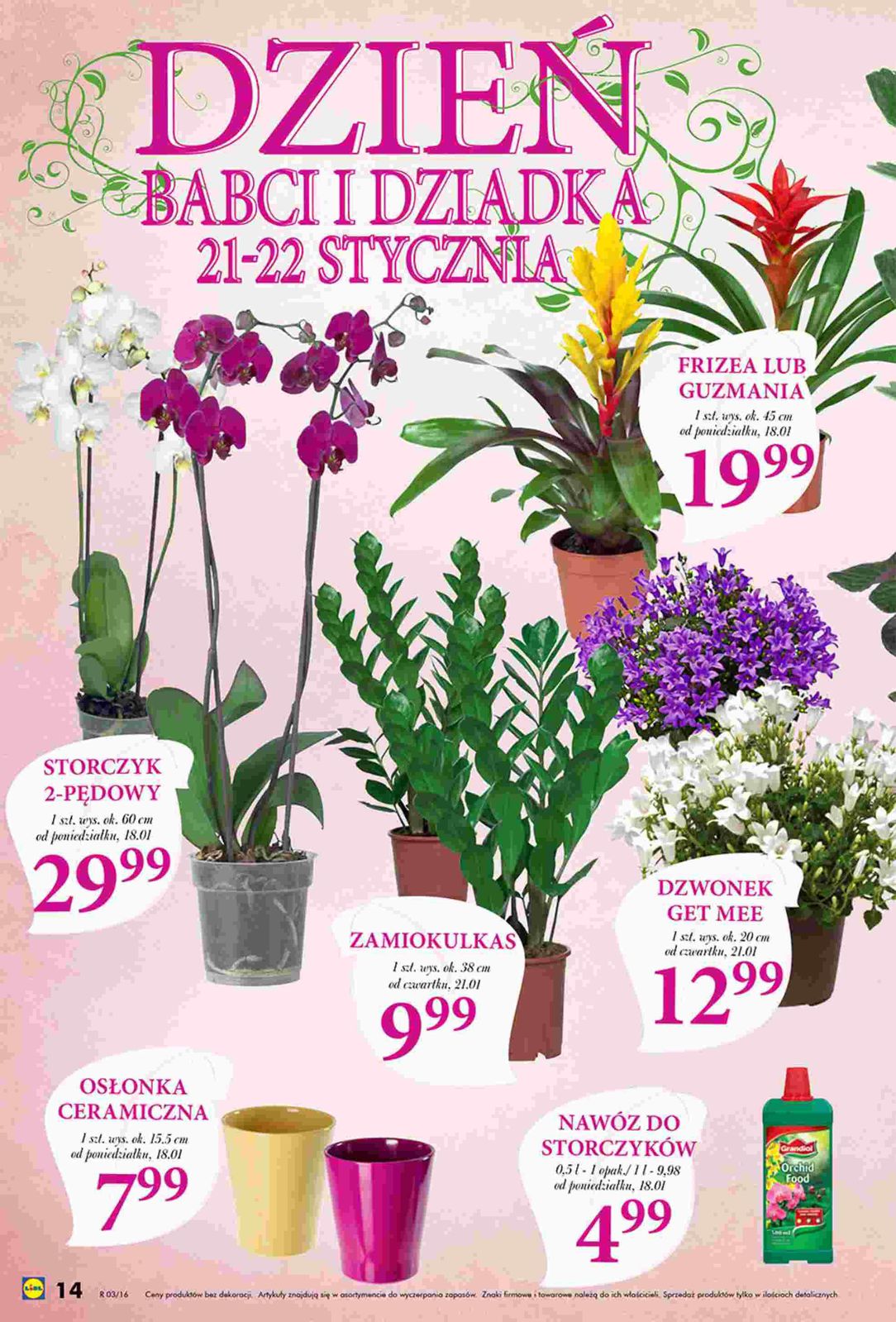 Gazetka promocyjna Lidl do 24/01/2016 str.14