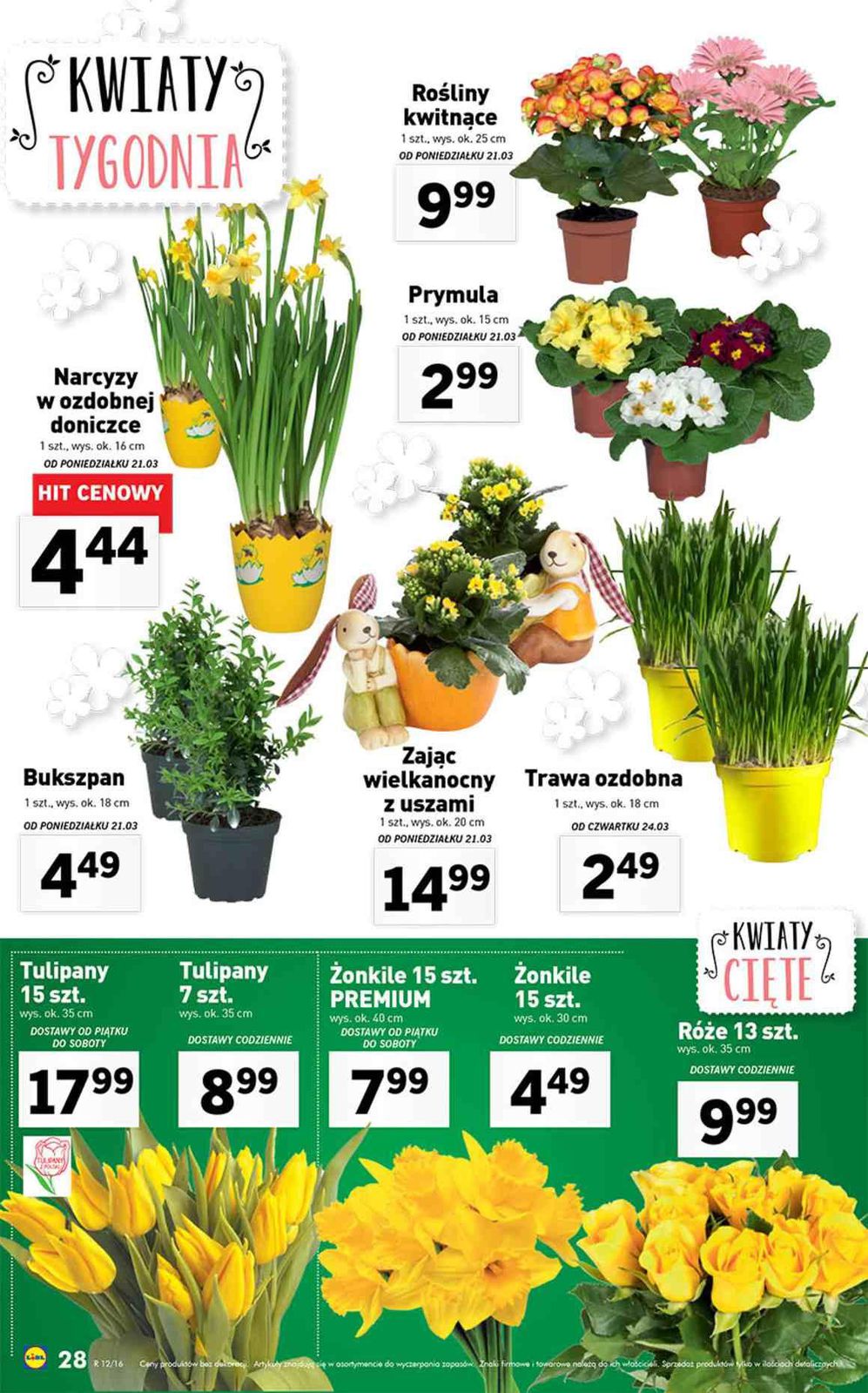 Gazetka promocyjna Lidl do 26/03/2016 str.28