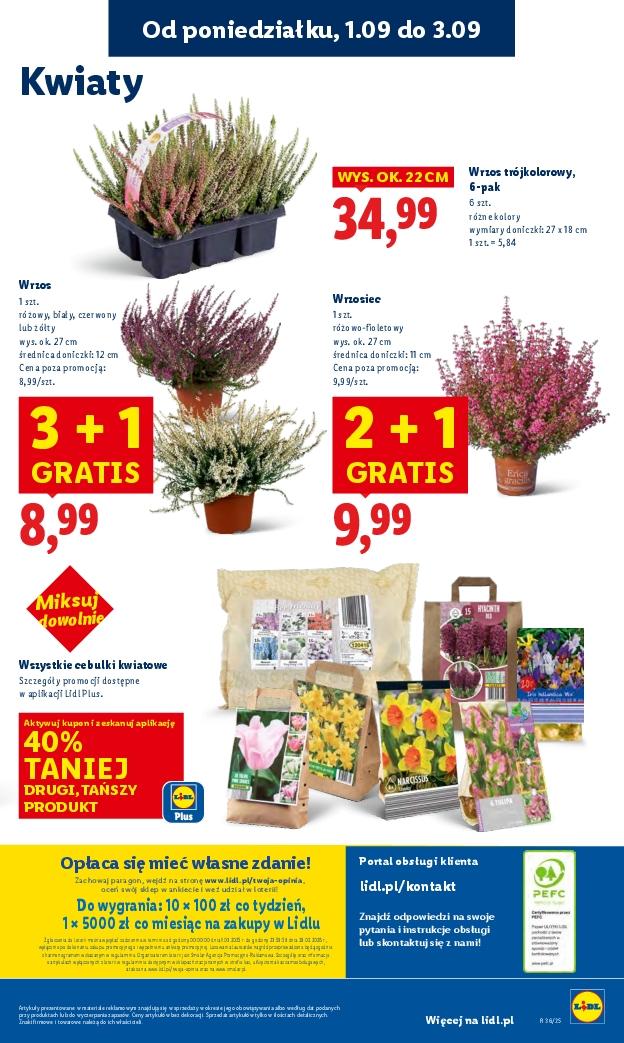 Gazetka promocyjna Lidl do 03/09/2025 str.57