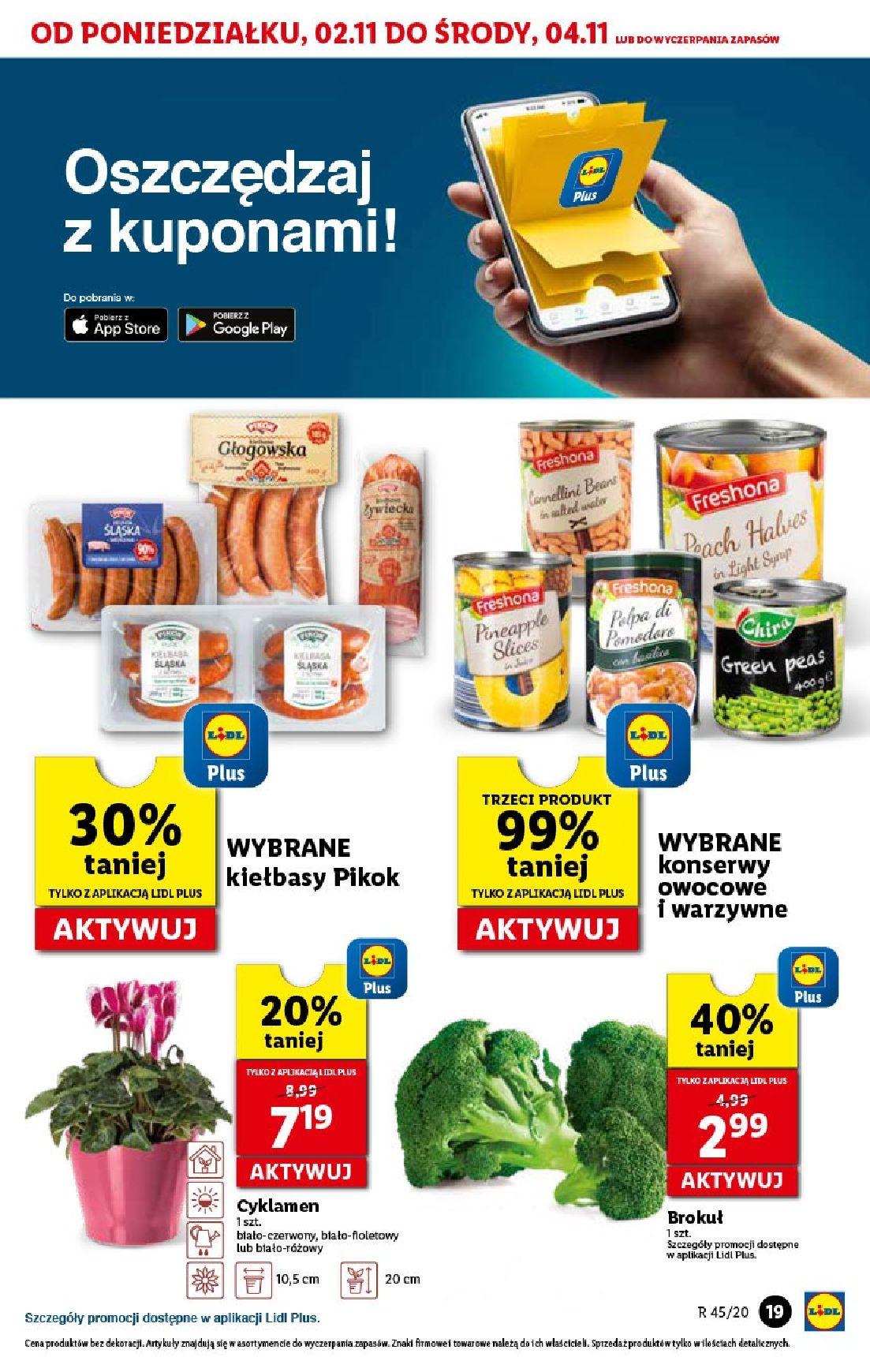 Gazetka promocyjna Lidl do 04/11/2020 str.19