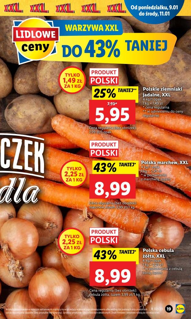 Gazetka promocyjna Lidl do 11/01/2023 str.19